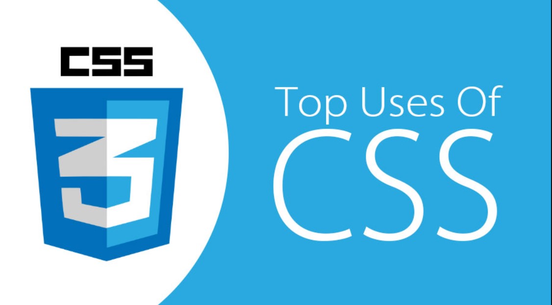 CSS Crash Course For Beginners